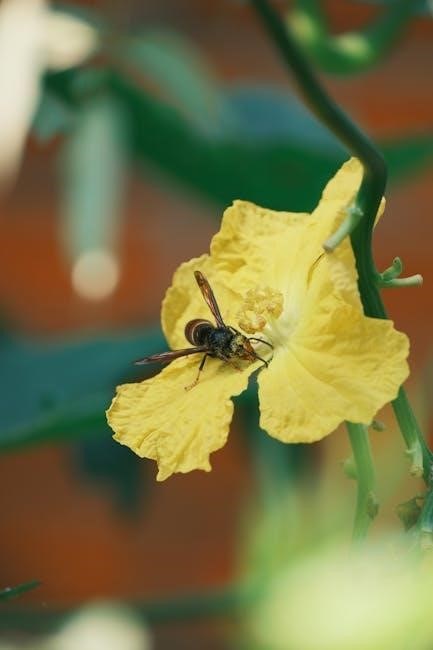 honey bee life cycle pdf honey bee life cycle pdf
