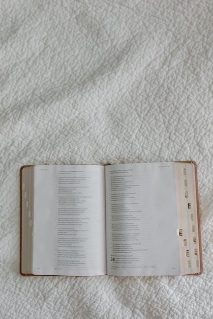 bible reading plan 2024 pdf bible reading plan 2024 pdf