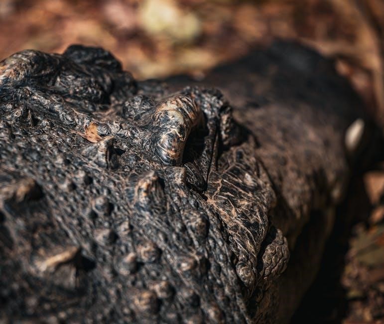 v shred endomorph diet plan pdf free download